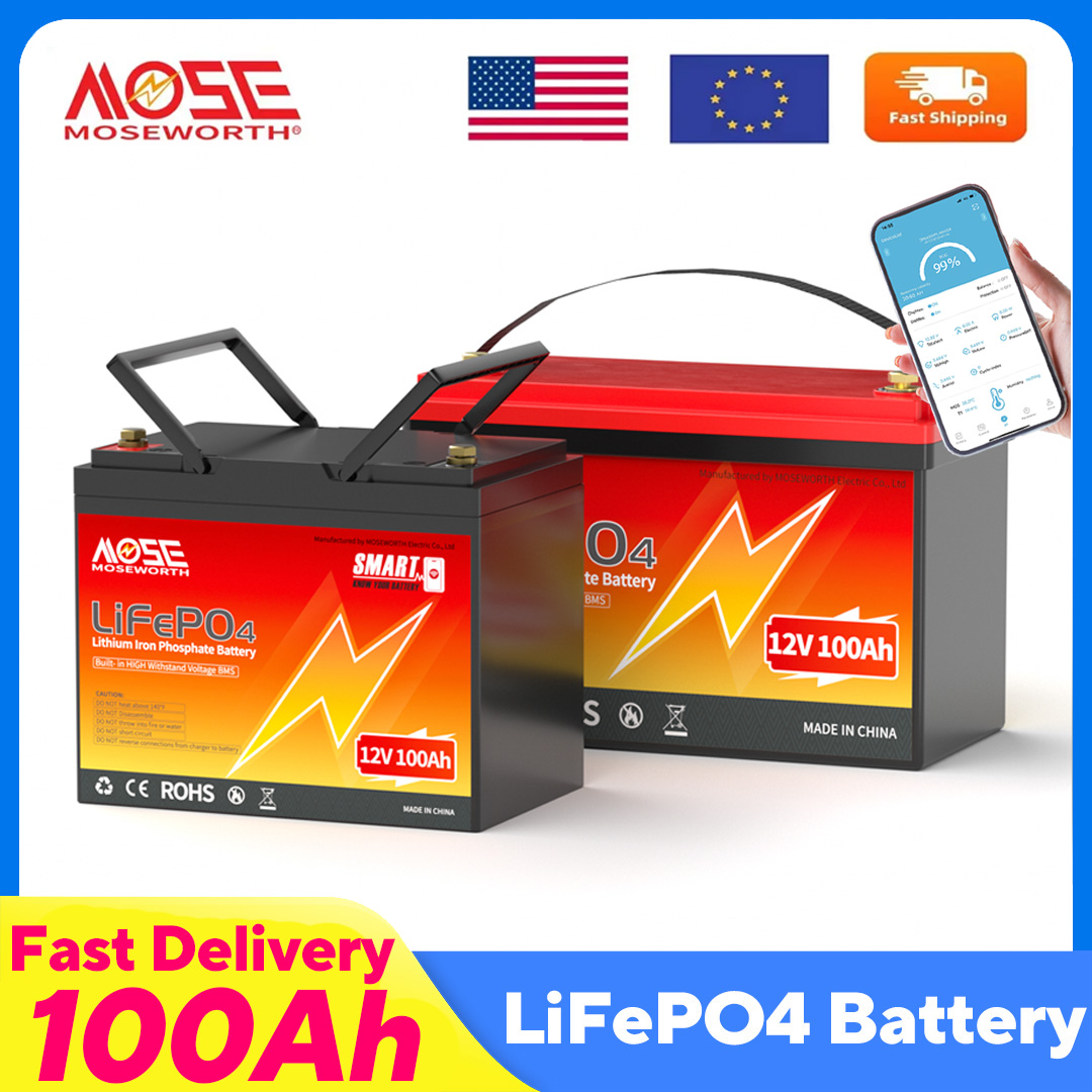 MOSEWORTH LiFePO4 12V 100Ah Ba - 12V 100Ah Lifepo4 Bluetooth Bms 评论和价格