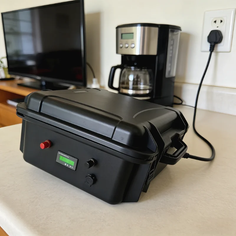 12V/24V LiFePO4 Battery Pack ( - 12V 100Ah Lifepo4 Bluetooth Bms 评论和价格