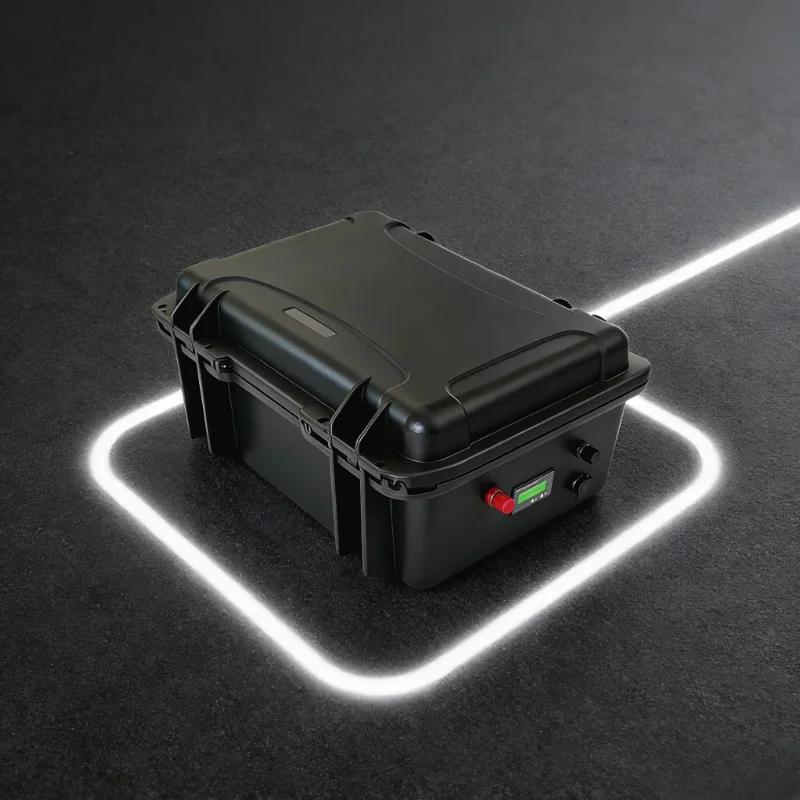 12V/24V LiFePO4 Battery Pack ( - 12V 100Ah Lifepo4 Bluetooth Bms 评论和价格