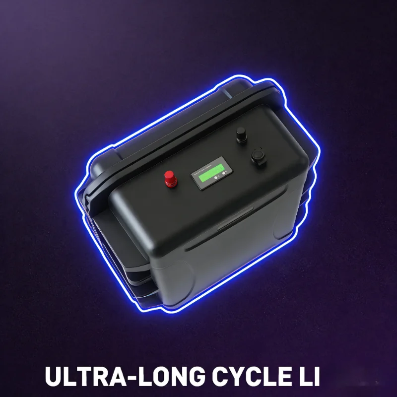 12V/24V LiFePO4 Battery Pack ( - 12V 100Ah Lifepo4 Bluetooth Bms 评论和价格