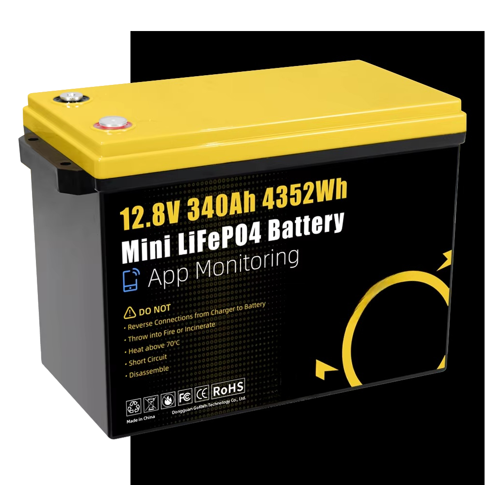 GoKWh Marine 12v Lifepo4 Lithi - Lifepo4 Battery 24V 200Ah 评论和价格
