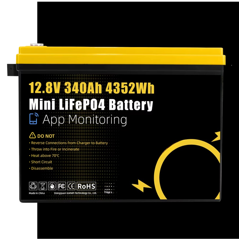 GoKWh Marine 12v Lifepo4 Lithi - Lifepo4 Battery 24V 200Ah 评论和价格