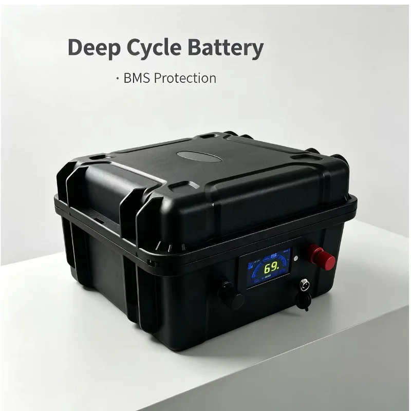 48V Rechargeable LiFePO4 Batte - Lifepo4 48V 50Ah Golf Cart 评论和价格