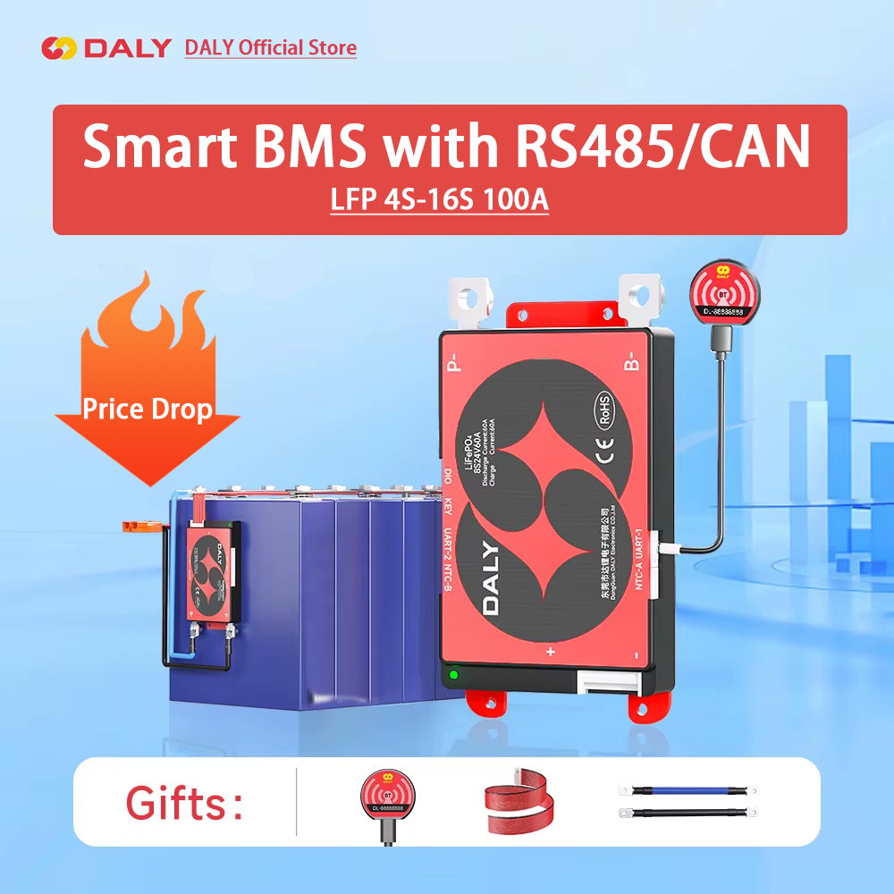 Daly Smart BMS 4S Lifepo4 12V  - Lifepo4 Battery 12V 100Ah 评论和价格