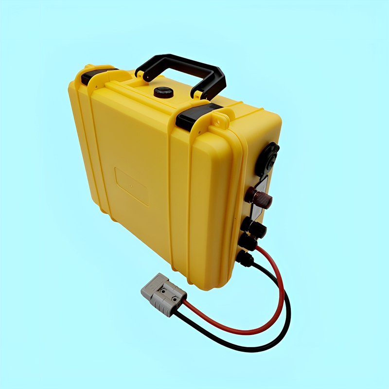 DS Waterproof Lithium Battery  - Lifepo4 Battery 24V 200Ah 评论和价格