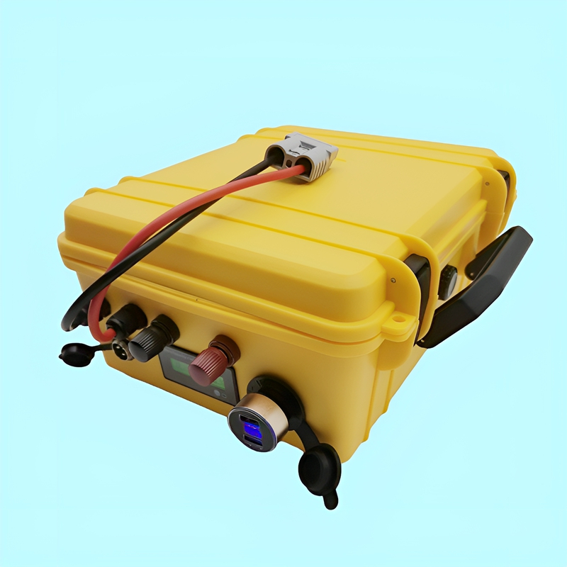 DS Waterproof Lithium Battery  - Lifepo4 Battery 24V 200Ah 评论和价格