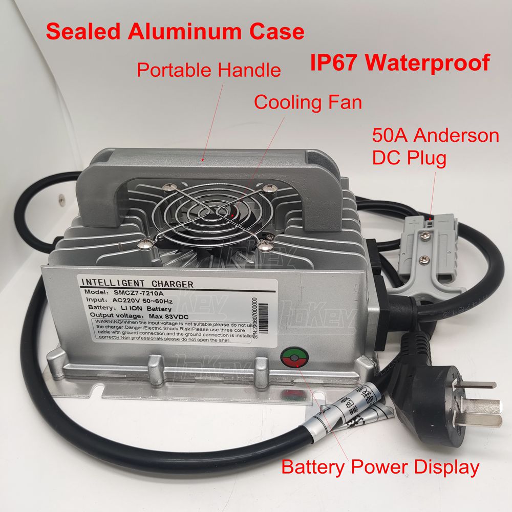 1500W 12V 24V 36V 48V 60V 72V  - Lifepo4 Charger 48V 20A 评论和价格