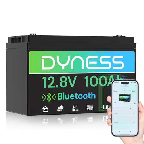 12V 100Ah Bluetooth LiFePO4 Ba - 12V 100Ah Lifepo4 Bluetooth Bms 评论和价格