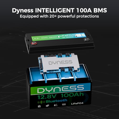 12V 100Ah Bluetooth LiFePO4 Ba - 12V 100Ah Lifepo4 Bluetooth Bms 评论和价格