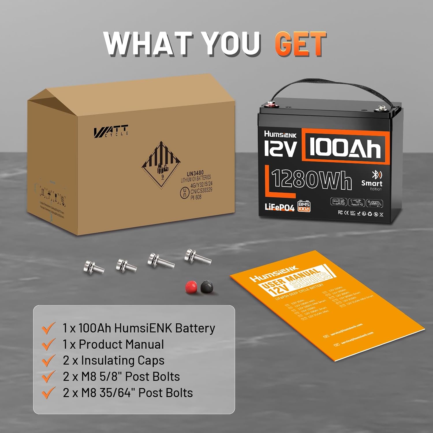 12V 100Ah LiFePO4 Lithium Batt - 12V 100Ah Lifepo4 Bluetooth Bms 评论和价格