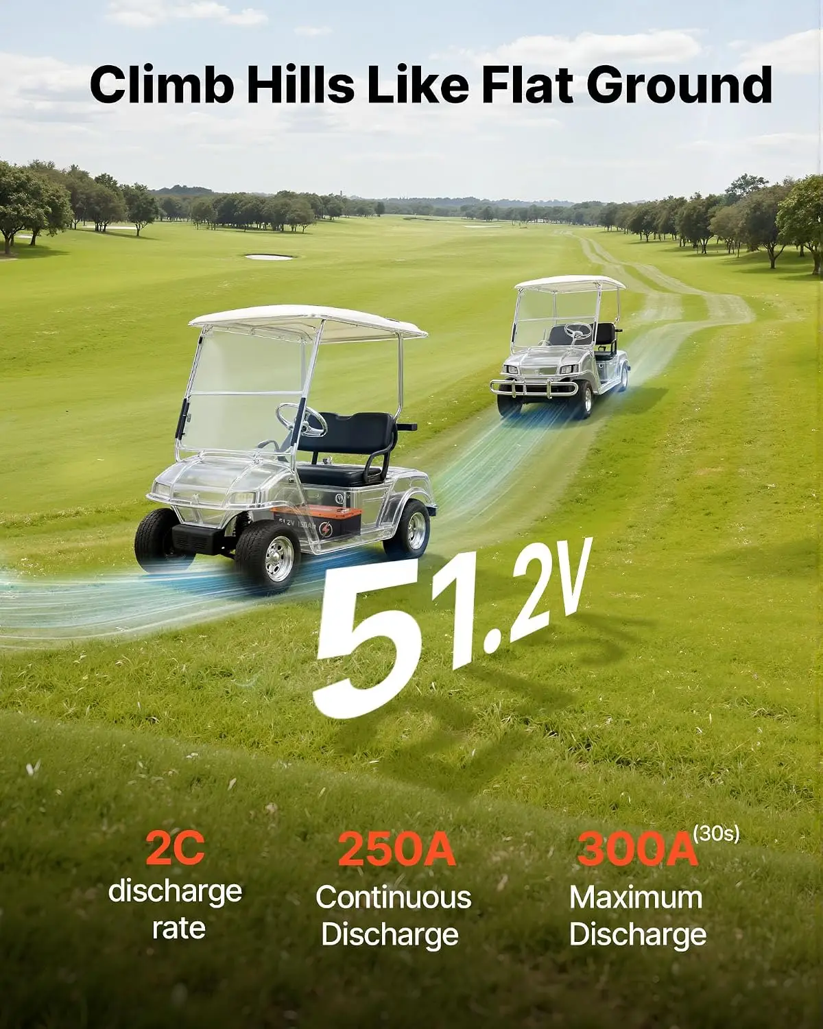 48V (51.2V) 150AH Lithium Golf - Lifepo4 Charger 48V 20A 评论和价格